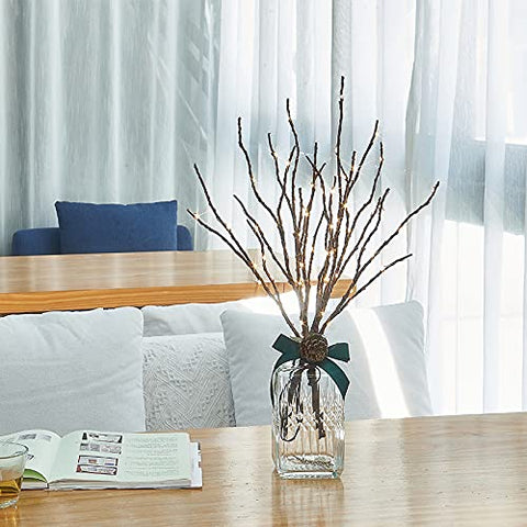 Hairui branches on sheltered porch demonstrating outdoor-friendly waterproof design