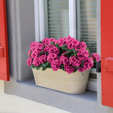 Hananona geraniums on balcony enhancing outdoor decor without maintenance