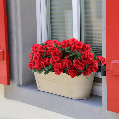 Hananona bundled geraniums arranged on a table for instant decoration
