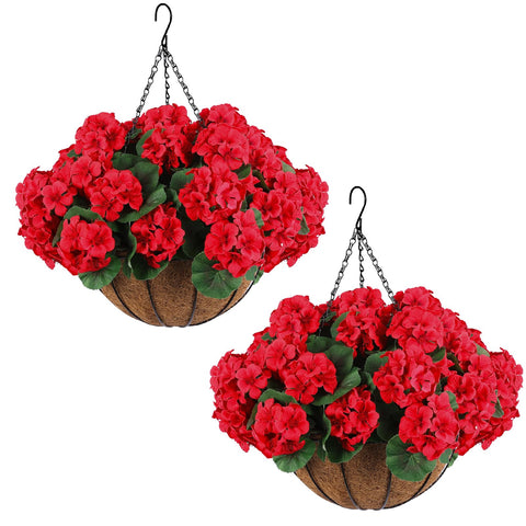 Hananona front view of two hanging baskets showing instant curb appeal