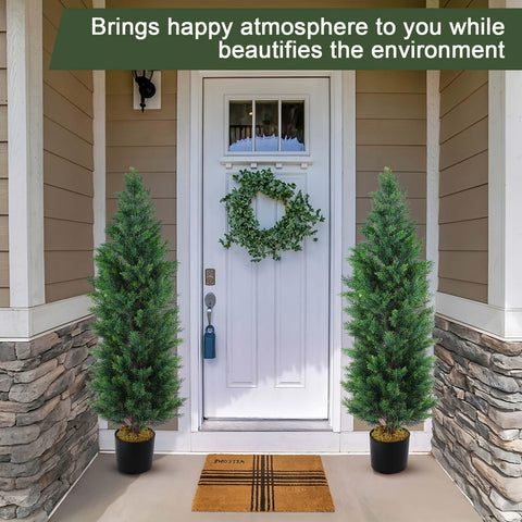 Hananona trees in decorative planter flanking doorway for curb appeal benefit