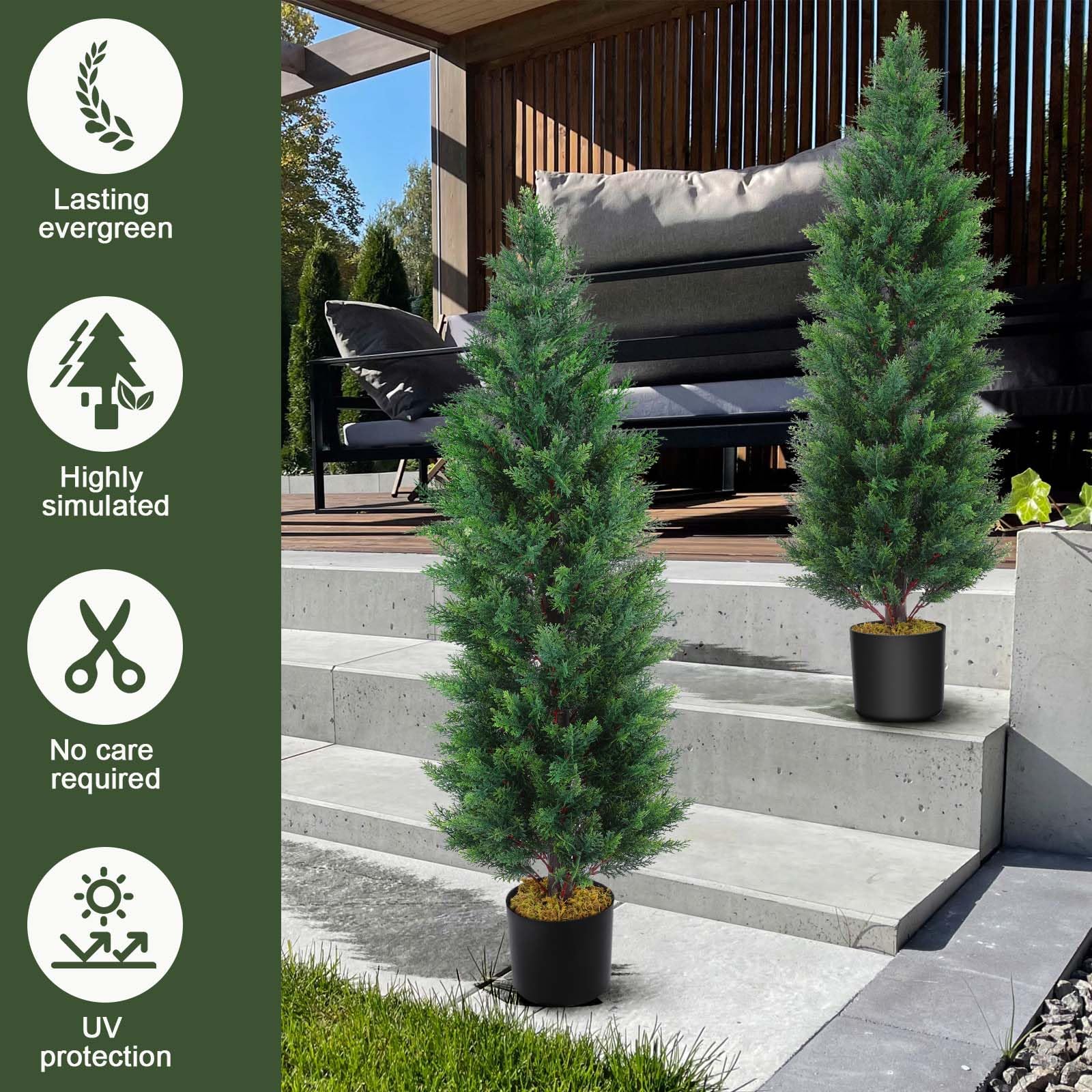 Hananona tree next to chair showing height scale and spatial planning benefit