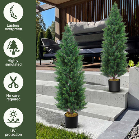 Hananona tree next to chair showing height scale and spatial planning benefit