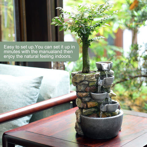 Haobos small plastic pot with succulent illustrating automatic watering