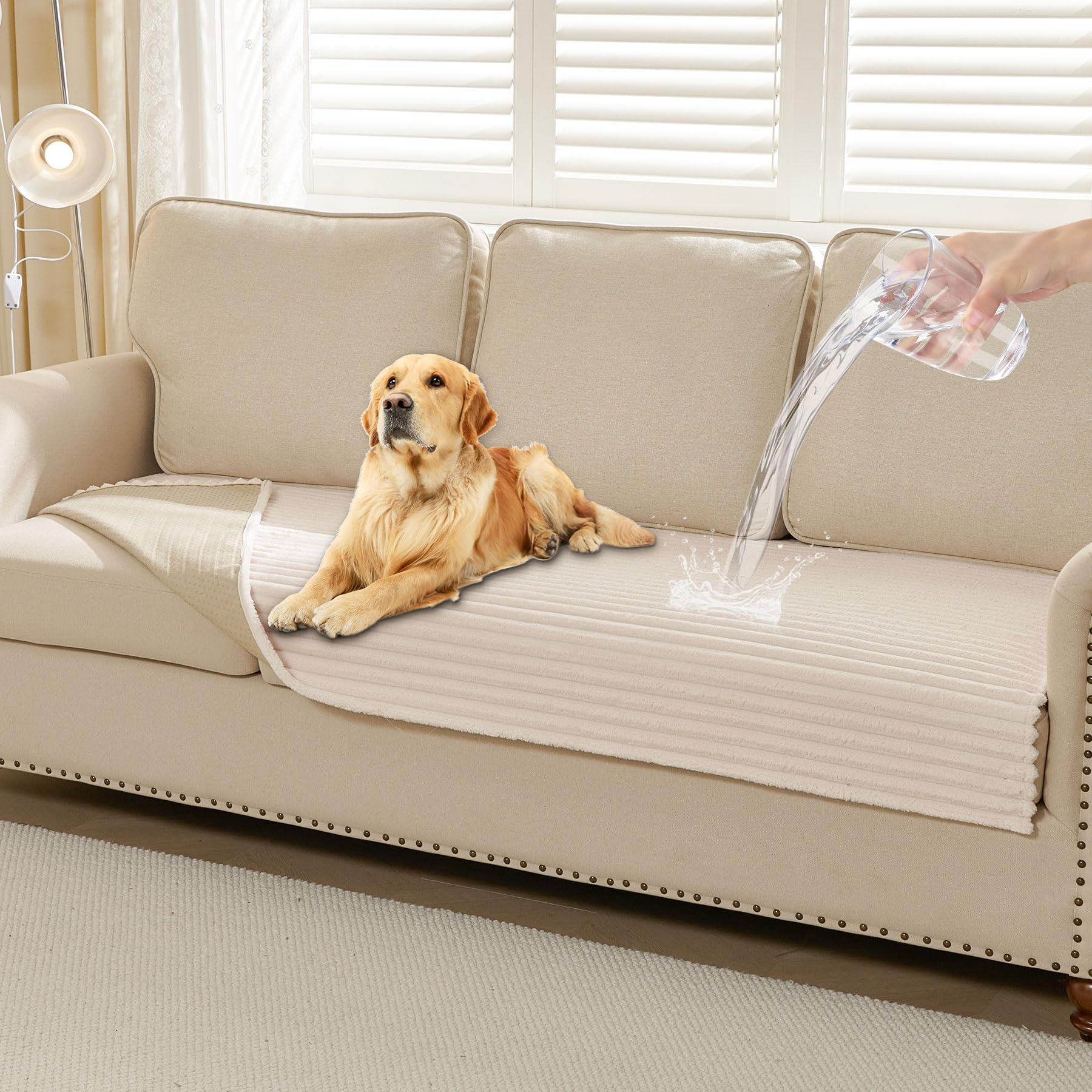 HAOMAIJIA front view on sofa showing full 3-cushion coverage and protection