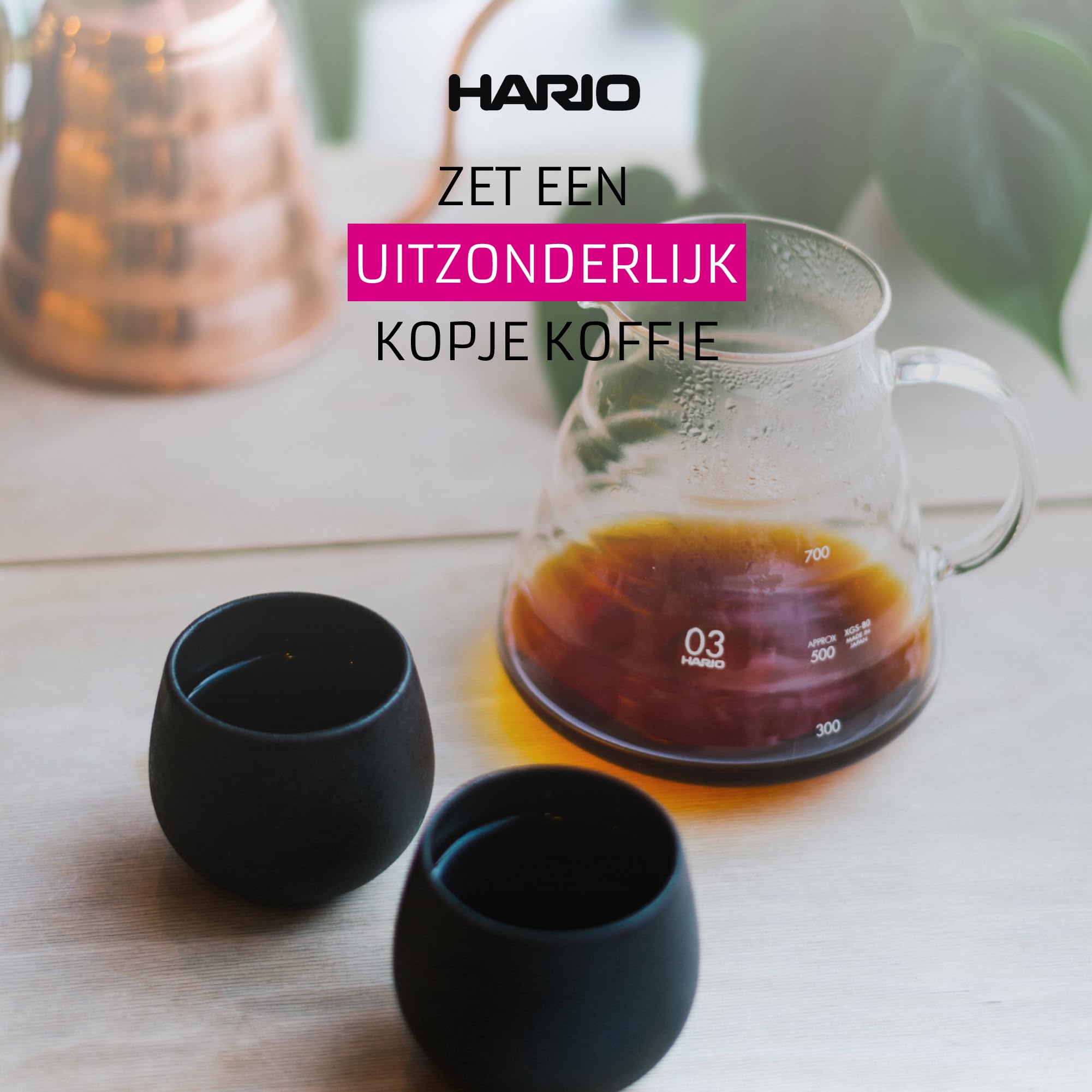 HARIO in kitchen lifestyle scene showing neat countertop integration for daily use