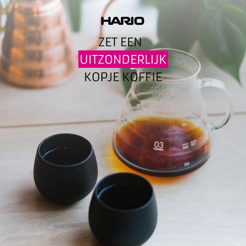 HARIO in kitchen lifestyle scene showing neat countertop integration for daily use