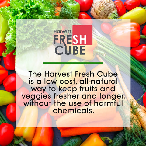 Harvest Fresh Cube placed in fridge crisper preserving fruits