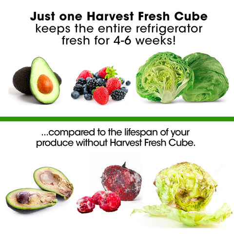 Harvest Fresh Cube on kitchen counter illustrating easy, low-waste use