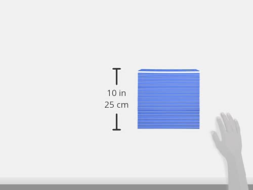 Hasegawa mat next to ruler showing 10 by 9.5 inch size for portion planning