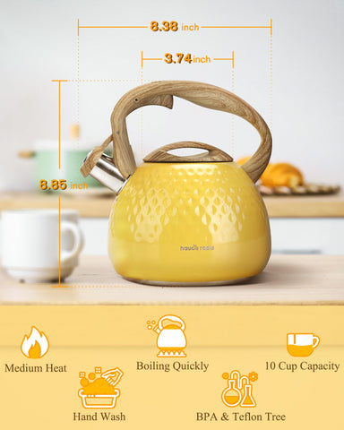 Hauce Radio size comparison beside mug to show 2.5 quart capacity