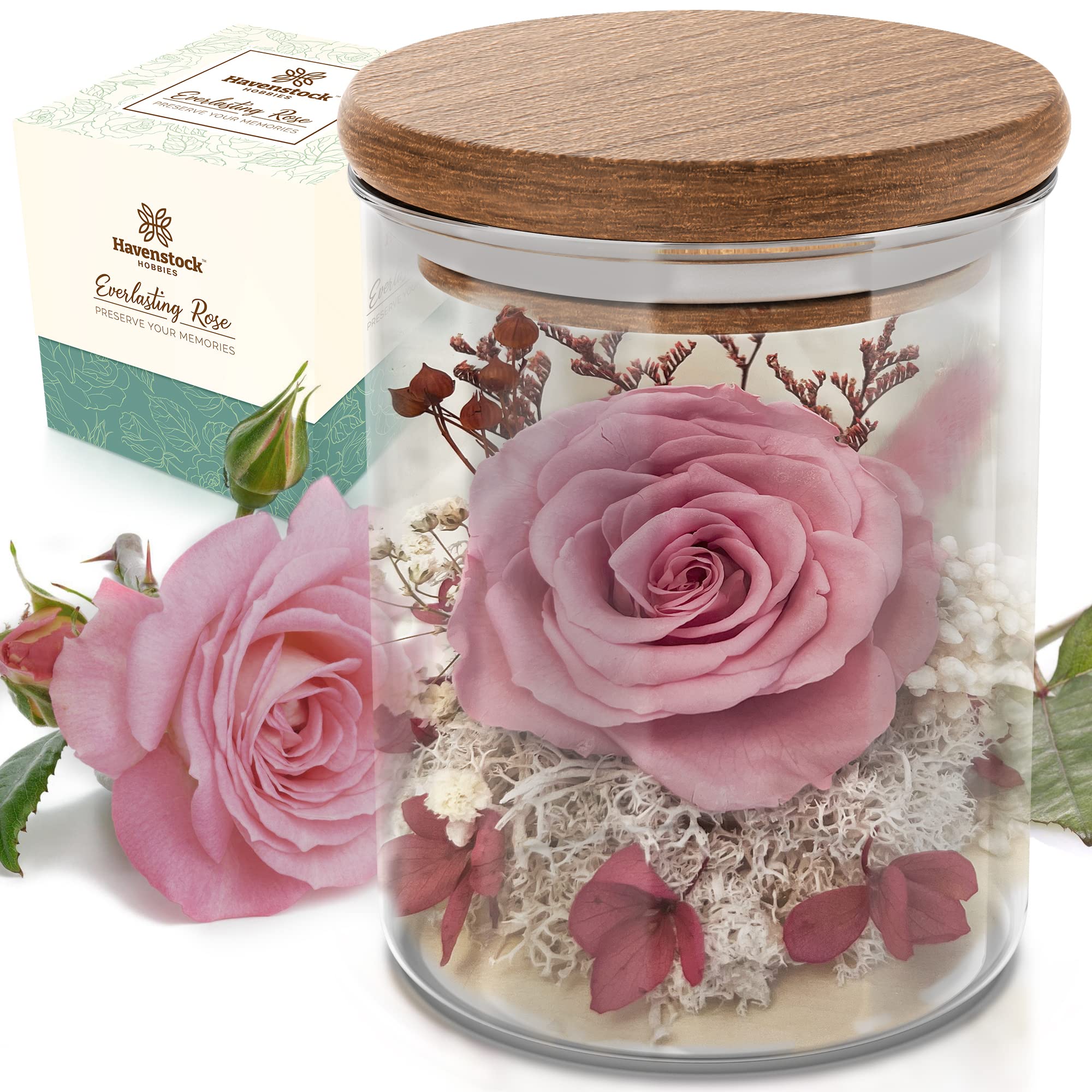 Havenstock front view of glass dome showing elegant preserved rose and clarity