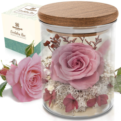 Havenstock front view of glass dome showing elegant preserved rose and clarity