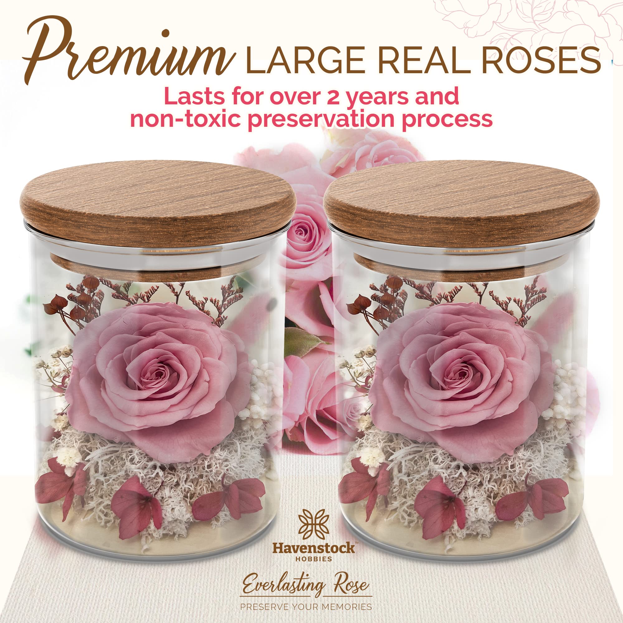 Havenstock rose packaged in premium gift box for ready-to-give presentation
