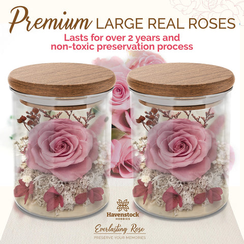 Havenstock rose packaged in premium gift box for ready-to-give presentation