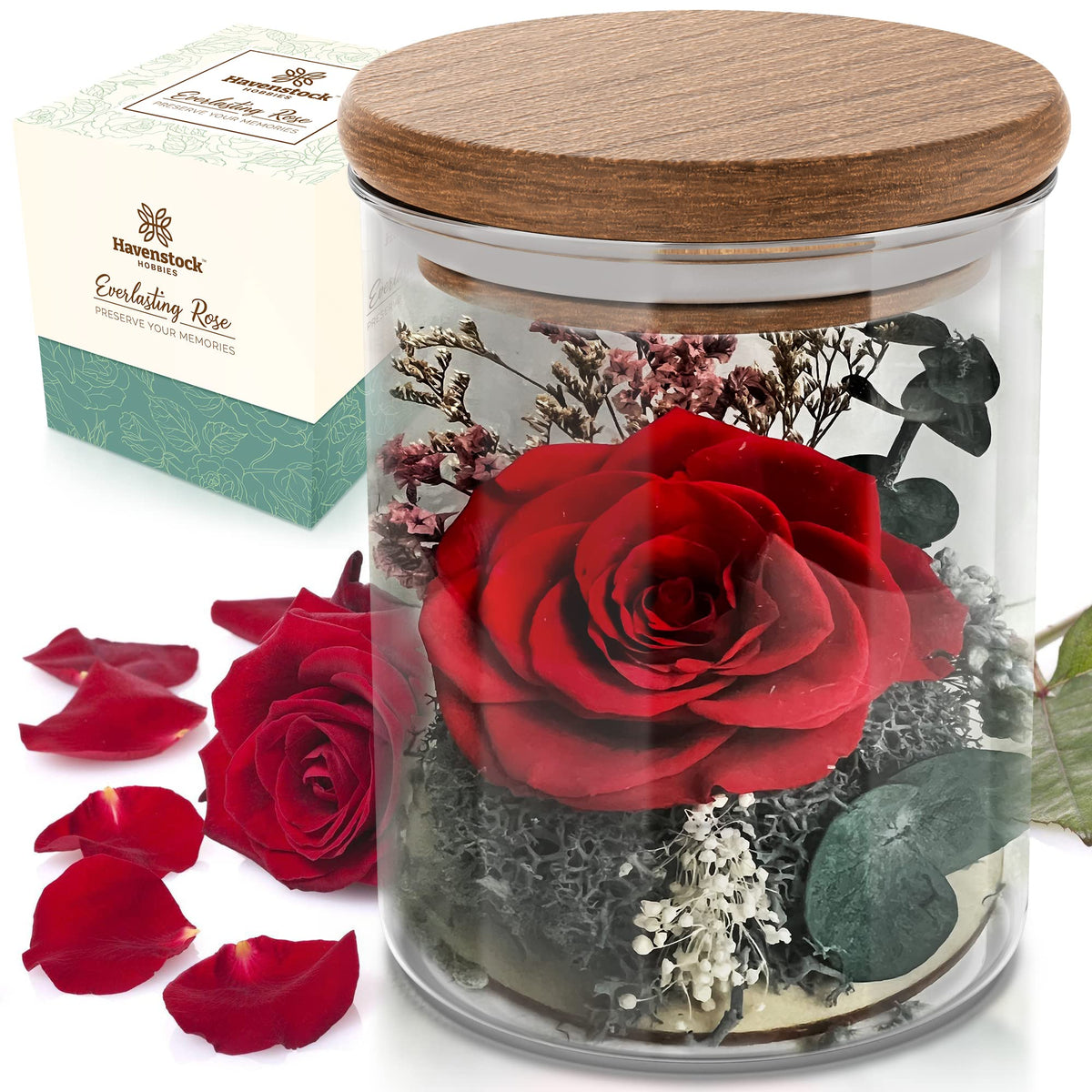 Havenstock red rose front view in glass dome showing elegant presentation and long-lasting beauty