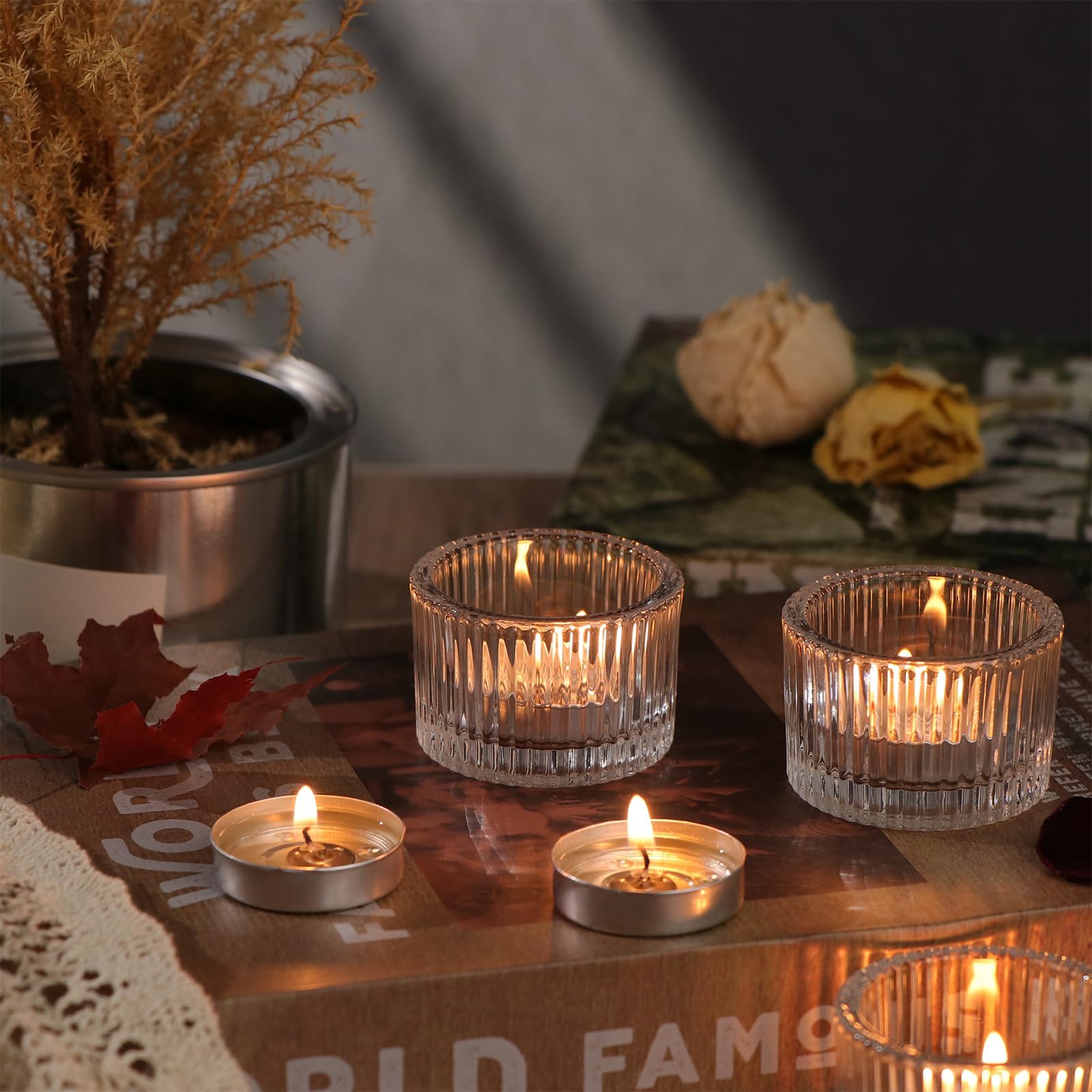 HAVITI pack of 24 arranged on table for cohesive event styling