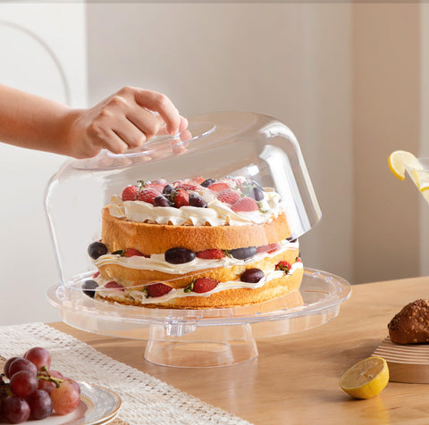 HBlife next to a two-layer cake showing scale and protective fit