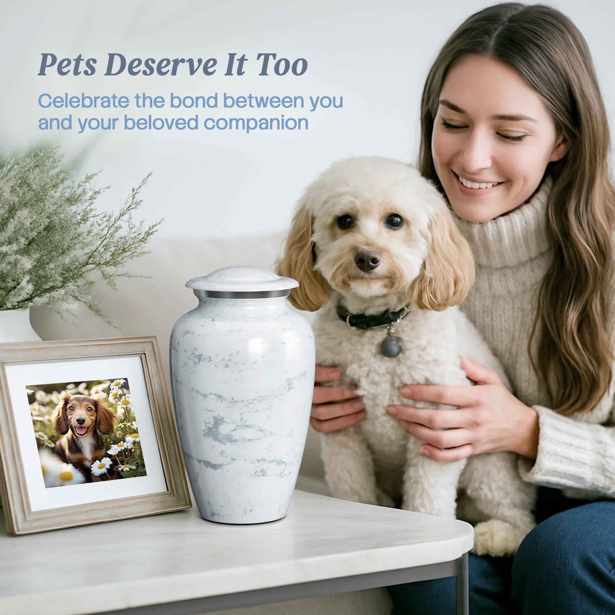 Hearthy Home packaging and includes image showing careful protective shipment