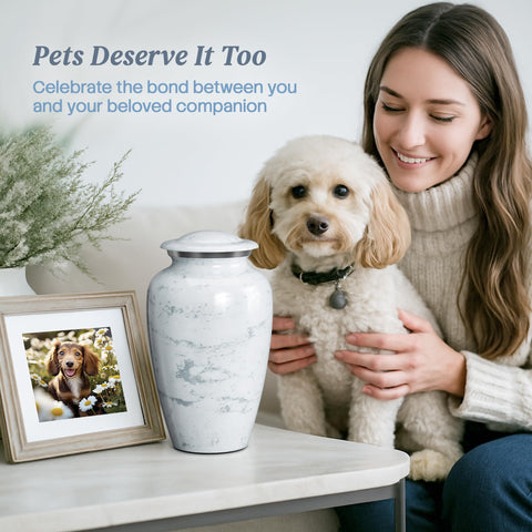 Hearthy Home packaging and includes image showing careful protective shipment