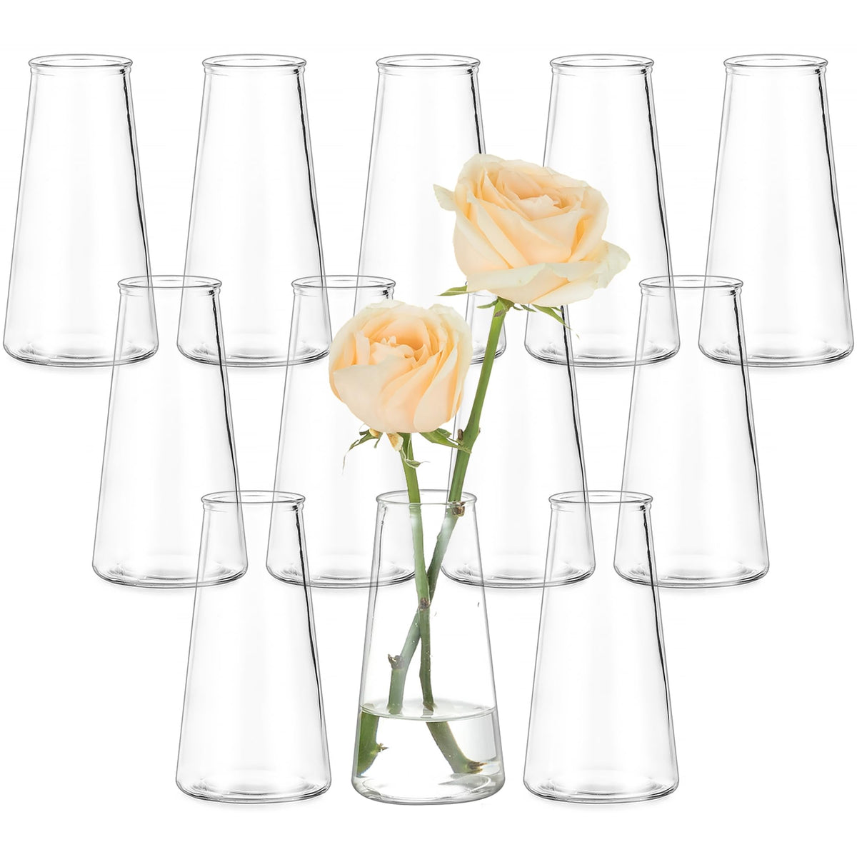 Hewory front view of clear bud vase showing minimalist design and elegance