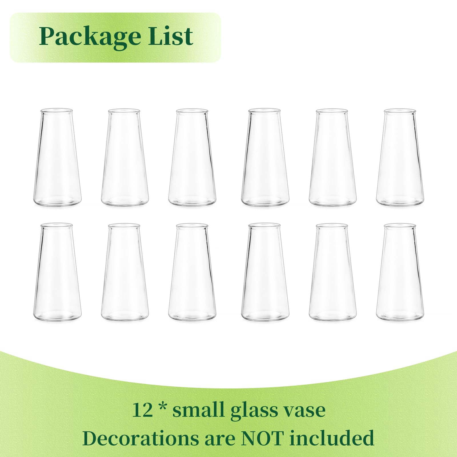 Hewory box of 12 vases displaying ready-to-use bulk convenience