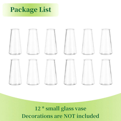Hewory box of 12 vases displaying ready-to-use bulk convenience
