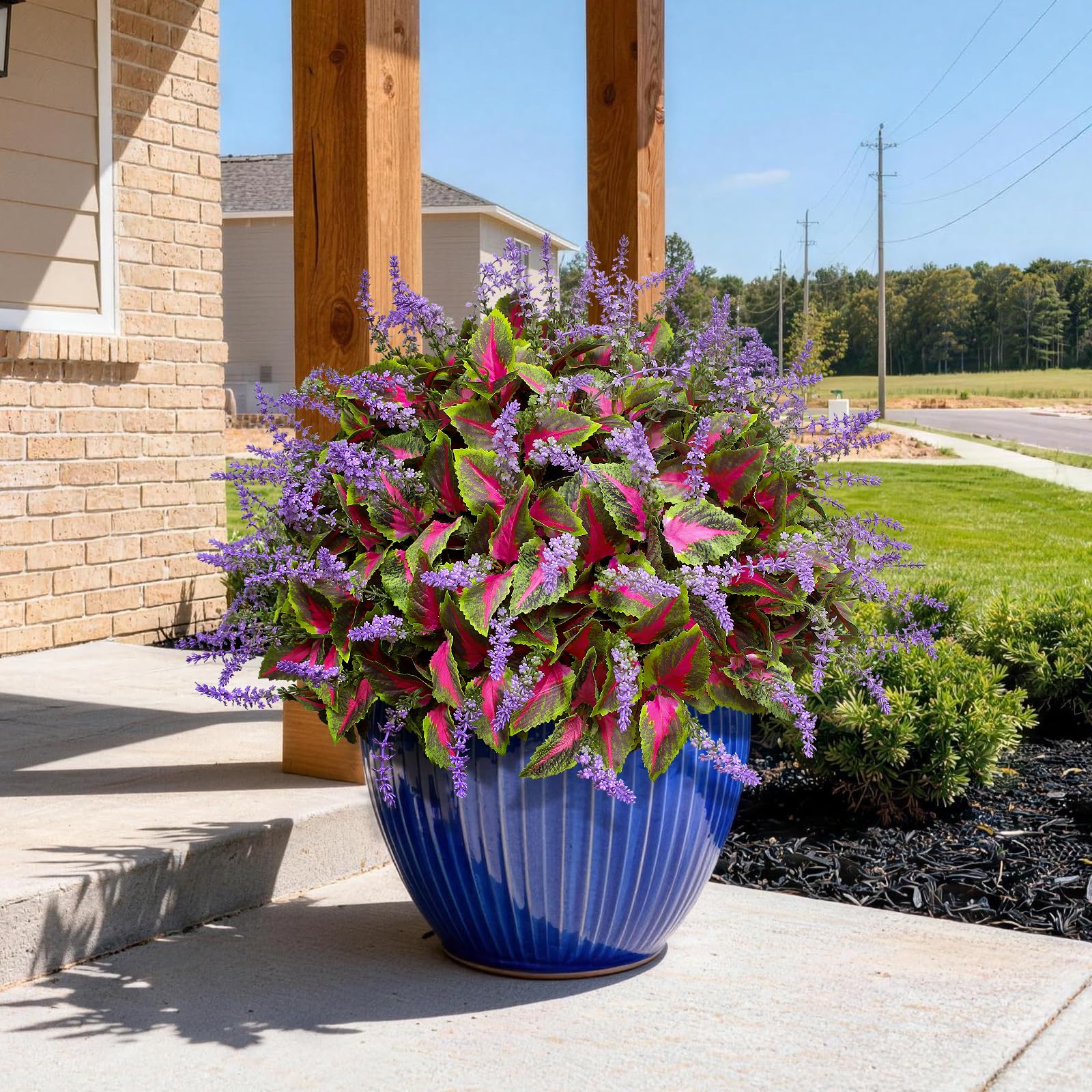HIFORESTAR multiple bundles arranged for full, natural display