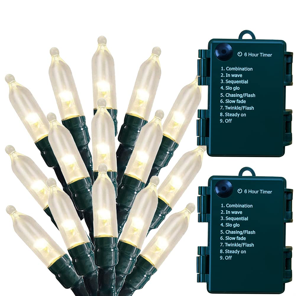 HoliDecor front view of two 50 LED string lights showing compact packaging and warm glow