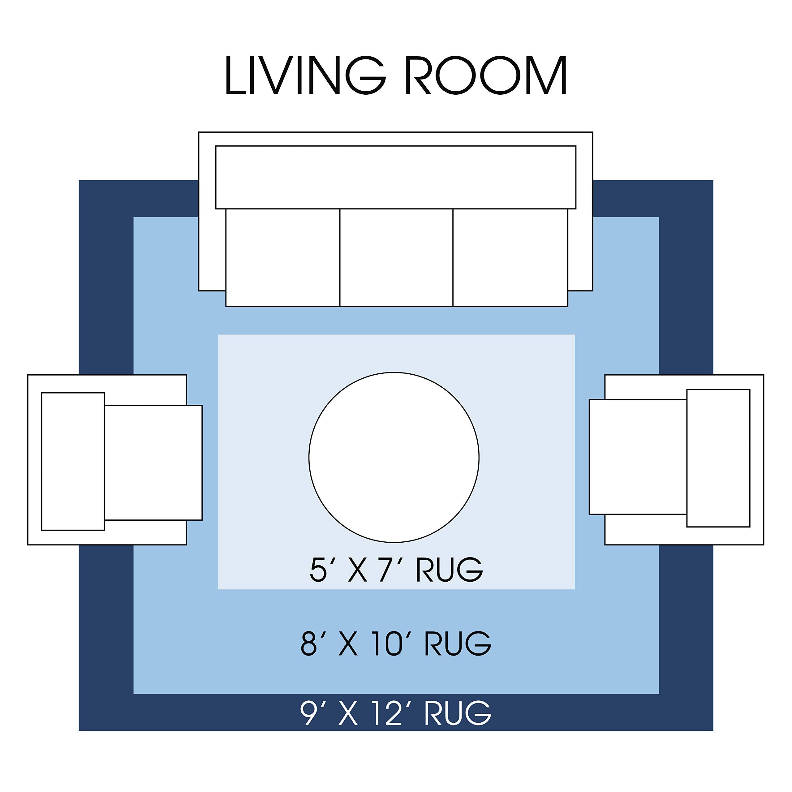 Home Dynamix folded rug showing temporary shipping creases and how they settle