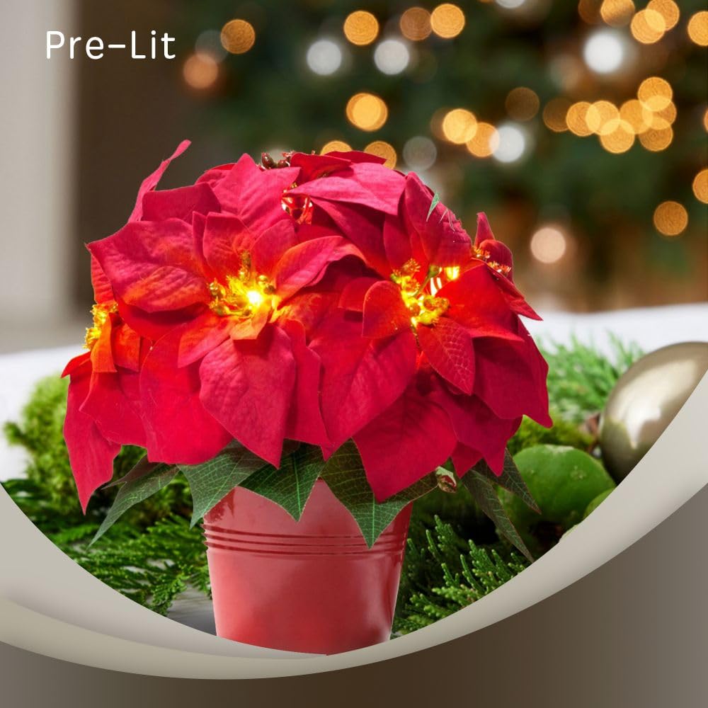 HOMESEASONS two plants styled together showing arrangement benefit coordinated decor