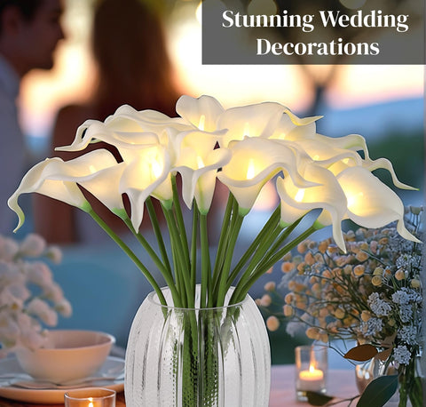 HOMESEASONS LED lights glowing in dark room providing warm atmosphere