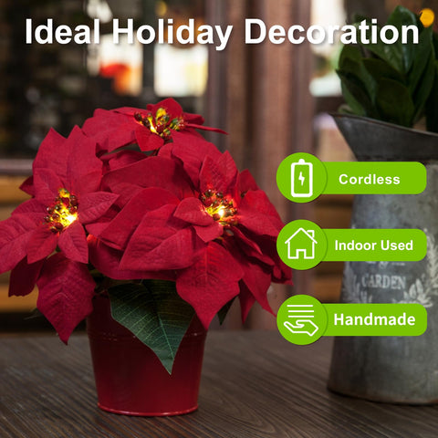 HOMESEASONS nighttime LED glow from poinsettias adding warm holiday ambiance