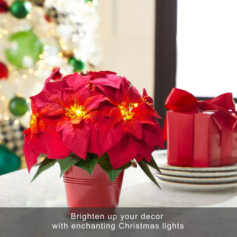 HOMESEASONS lit LED detail showing warm glow benefit cozy ambiance