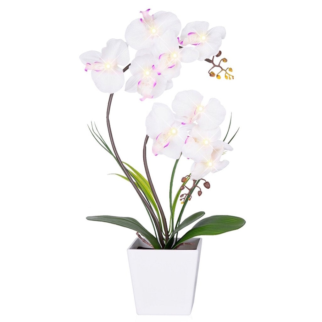 HOMESEASONS front view of white LED orchid arrangement for elegant decor