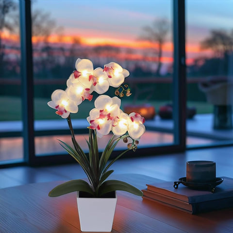 HOMESEASONS lit orchid arrangement placed in living room for warm ambiance