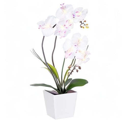 HOMESEASONS orchid on nightstand creating soft evening lighting