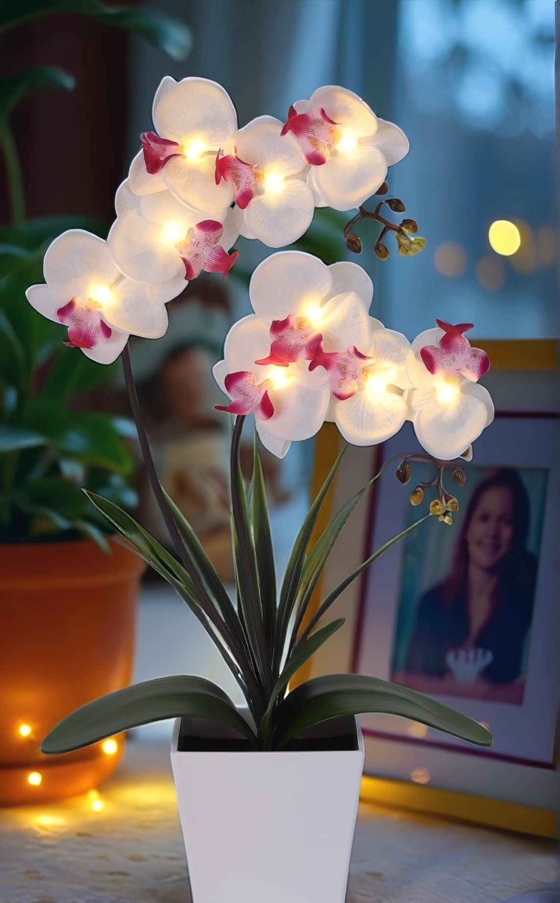 HOMESEASONS orchid next to books to illustrate size and scale benefit