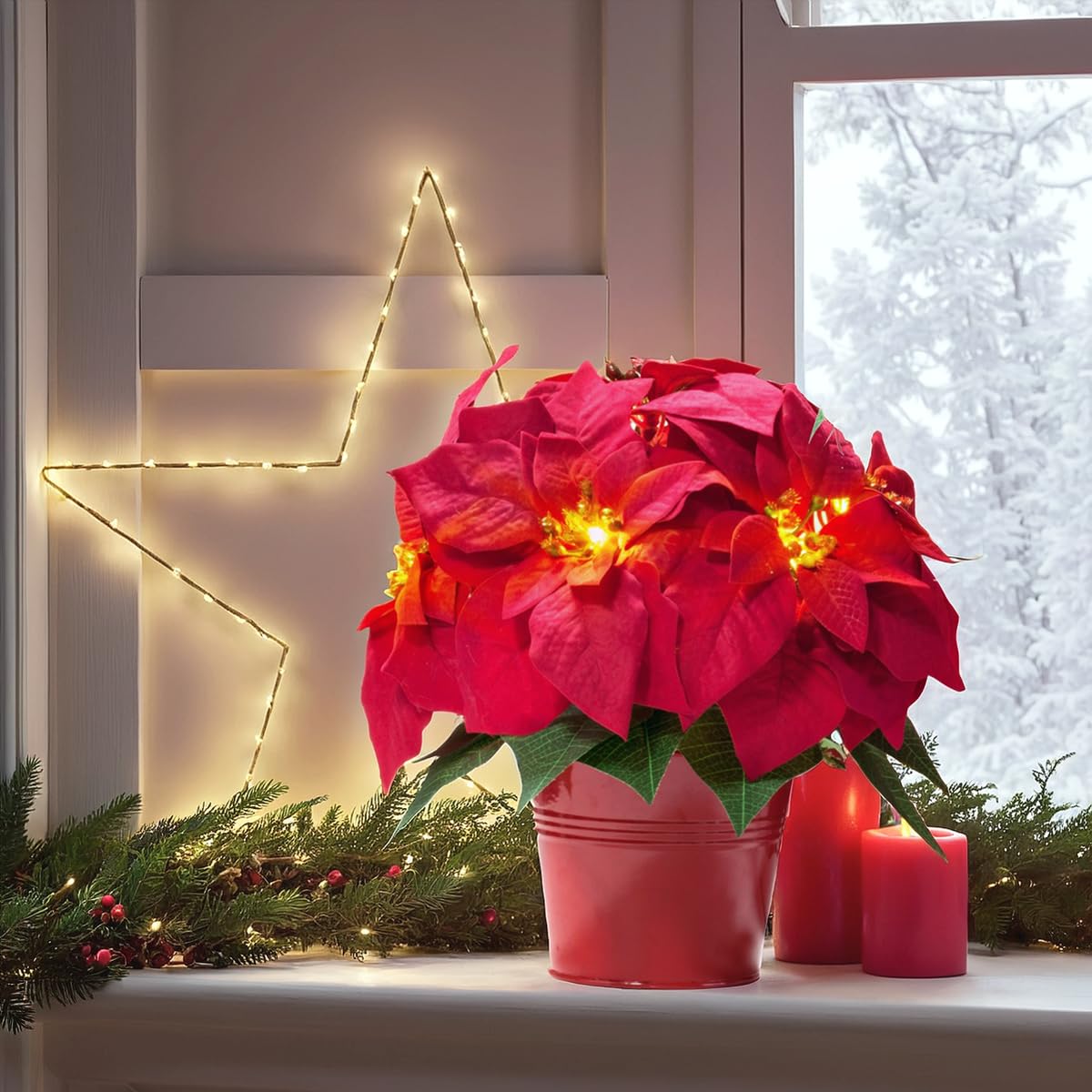 HOMESEASONS poinsettia beside a ruler showing size for accurate scale