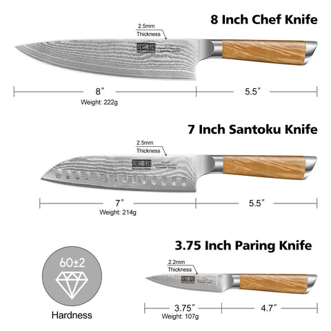 HOSHANHO 8-inch chef blade close-up demonstrating razor-sharp edge for precision