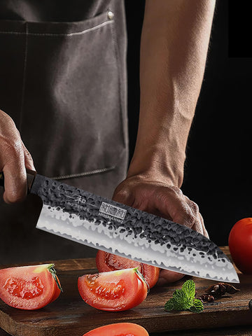 HOSHANHO paring knife peeling fruit for accurate trimming and small tasks