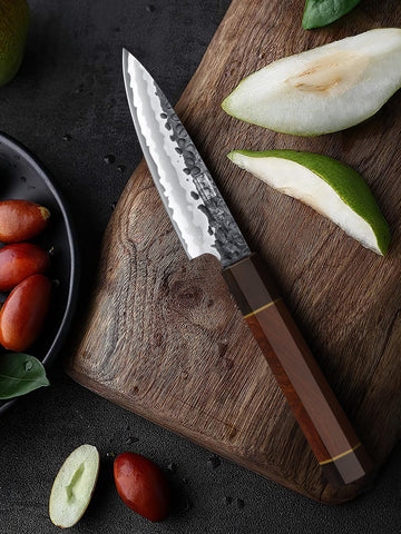 HOSHANHO paring knife beside coin for scale to show compact 3.75-inch blade