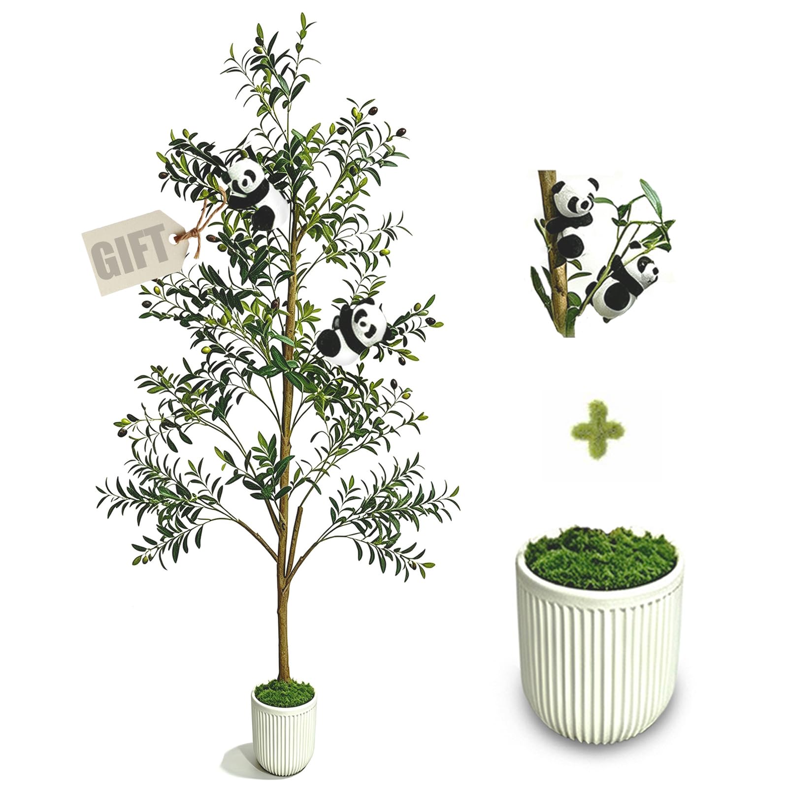 houpudamai olive tree front view showing lifelike presence and vertical impact