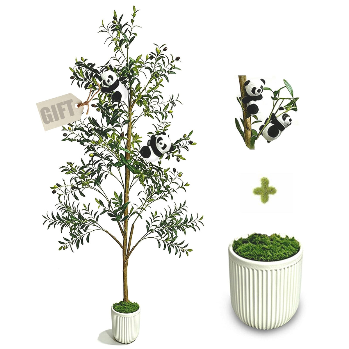 houpudamai olive tree front view showing lifelike presence and vertical impact
