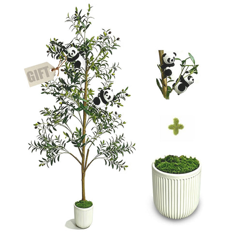 houpudamai olive tree front view showing lifelike presence and vertical impact
