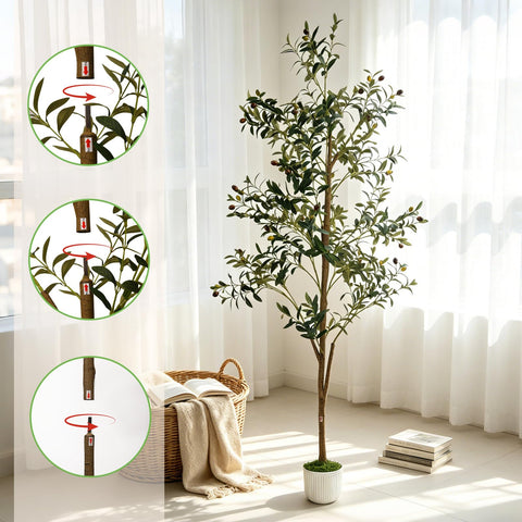 houpudamai in living room styling bringing natural ambiance without maintenance