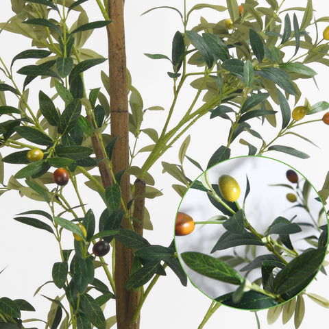 houpudamai tree next to sofa showing six-foot scale and room-filling benefit