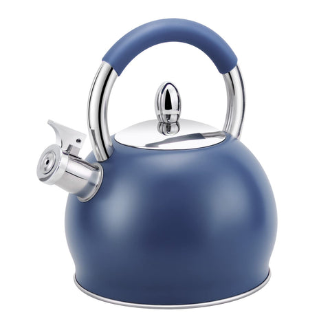 HRHongRui front view showing blue kettle and capacity, useful for family servings