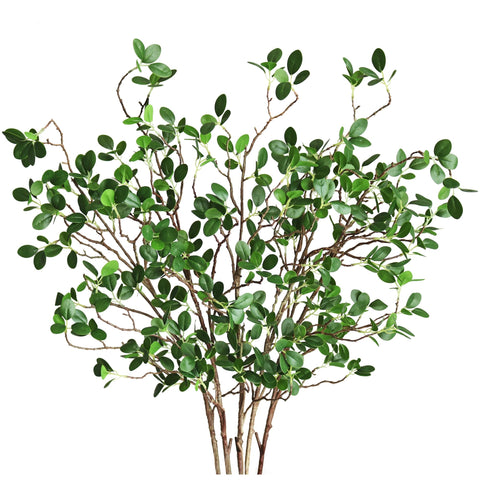 Htmeing front view of five eucalyptus branches showing full set and natural look