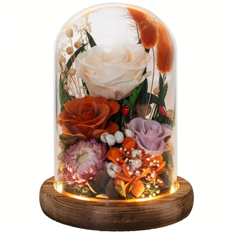 HUACHIPLUS front view in box showing elegant gift presentation and instant wow